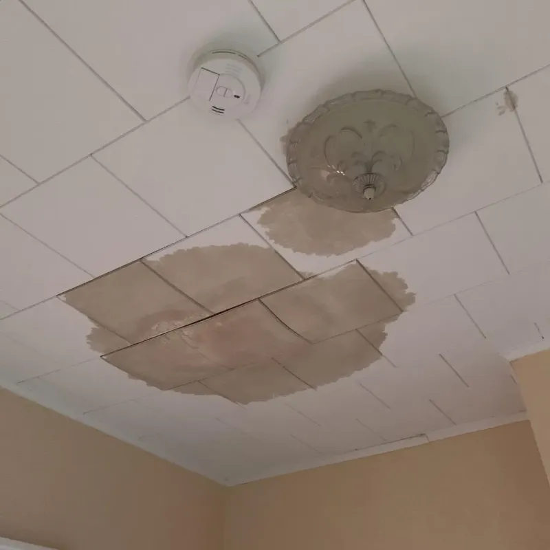 Ceiling Water Damage Repair in Milton, MA